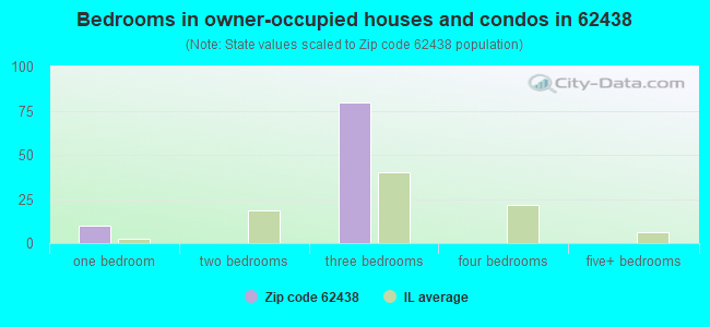 Bedrooms in owner-occupied houses and condos in 62438 