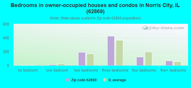 Bedrooms in owner-occupied houses and condos in Norris City, IL (62869) 