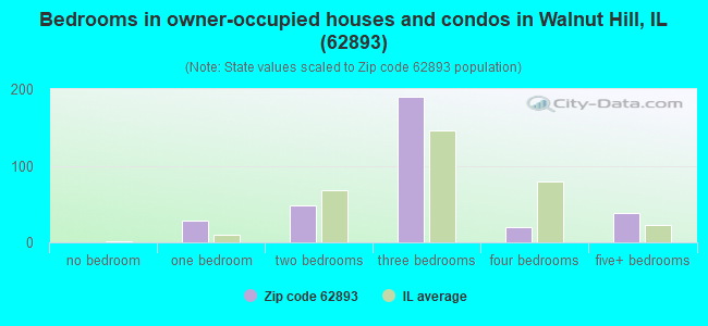 Bedrooms in owner-occupied houses and condos in Walnut Hill, IL (62893) 