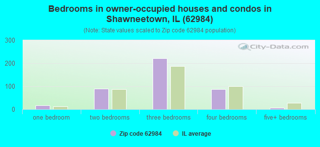 Bedrooms in owner-occupied houses and condos in Shawneetown, IL (62984) 