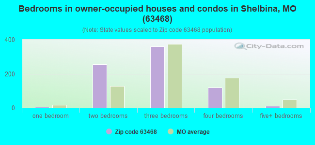 Bedrooms in owner-occupied houses and condos in Shelbina, MO (63468) 