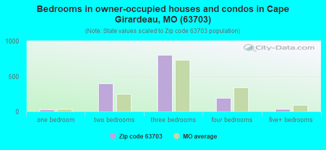 Bedrooms in owner-occupied houses and condos in Cape Girardeau, MO (63703) 