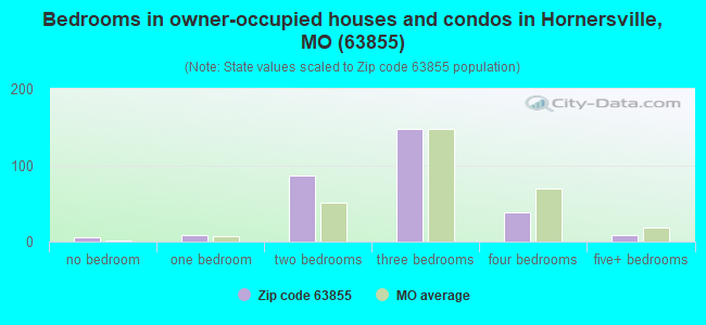Bedrooms in owner-occupied houses and condos in Hornersville, MO (63855) 