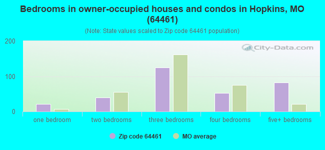 Bedrooms in owner-occupied houses and condos in Hopkins, MO (64461) 