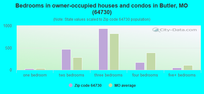 Bedrooms in owner-occupied houses and condos in Butler, MO (64730) 