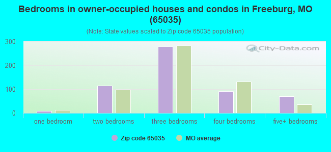 Bedrooms in owner-occupied houses and condos in Freeburg, MO (65035) 