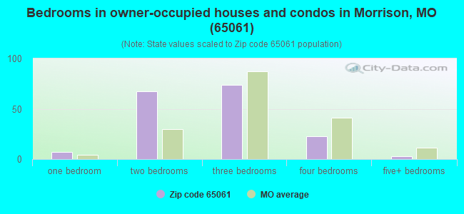 Bedrooms in owner-occupied houses and condos in Morrison, MO (65061) 