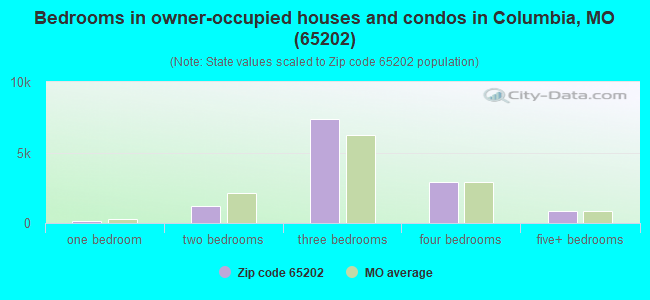 Bedrooms in owner-occupied houses and condos in Columbia, MO (65202) 