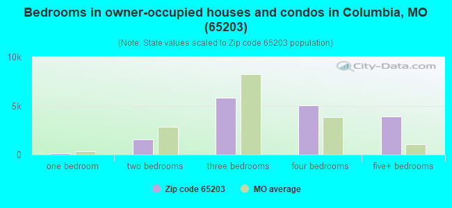 Bedrooms in owner-occupied houses and condos in Columbia, MO (65203) 