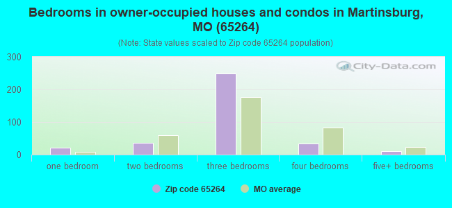 Bedrooms in owner-occupied houses and condos in Martinsburg, MO (65264) 