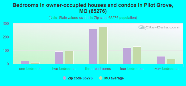 Bedrooms in owner-occupied houses and condos in Pilot Grove, MO (65276) 