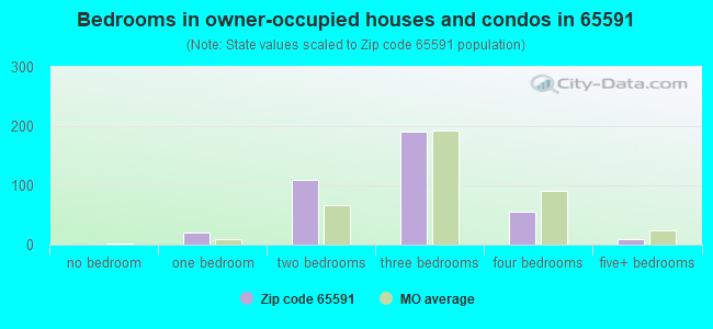Bedrooms in owner-occupied houses and condos in 65591 