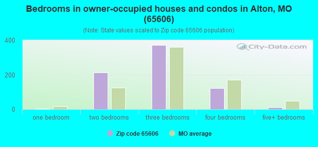 Bedrooms in owner-occupied houses and condos in Alton, MO (65606) 