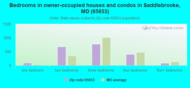 Bedrooms in owner-occupied houses and condos in Saddlebrooke, MO (65653) 