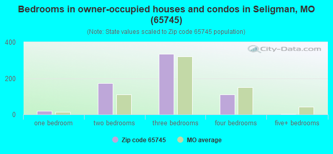 Bedrooms in owner-occupied houses and condos in Seligman, MO (65745) 