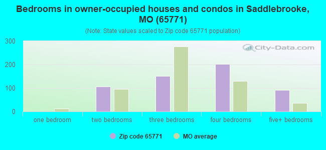 Bedrooms in owner-occupied houses and condos in Saddlebrooke, MO (65771) 