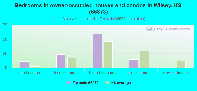 Bedrooms in owner-occupied houses and condos in Wilsey, KS (66873) 