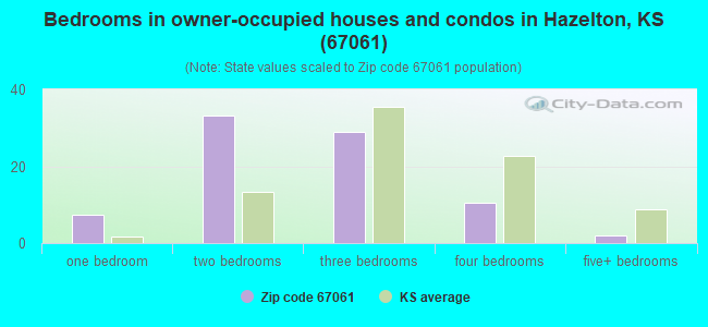 Bedrooms in owner-occupied houses and condos in Hazelton, KS (67061) 