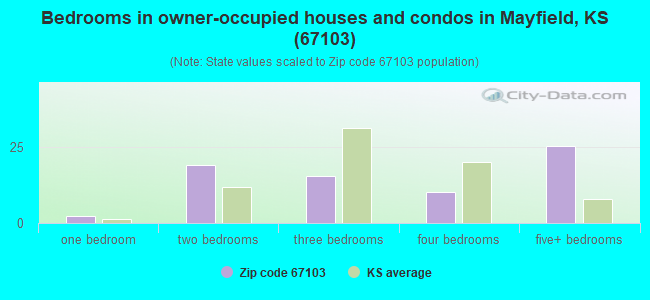Bedrooms in owner-occupied houses and condos in Mayfield, KS (67103) 