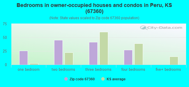 Bedrooms in owner-occupied houses and condos in Peru, KS (67360) 