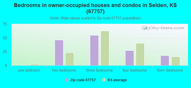 Bedrooms in owner-occupied houses and condos in Selden, KS (67757) 