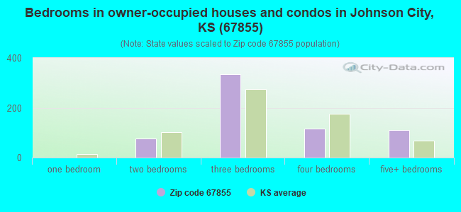 Bedrooms in owner-occupied houses and condos in Johnson City, KS (67855) 