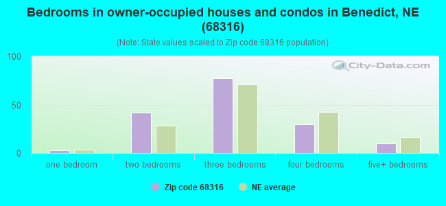 Bedrooms in owner-occupied houses and condos in Benedict, NE (68316) 