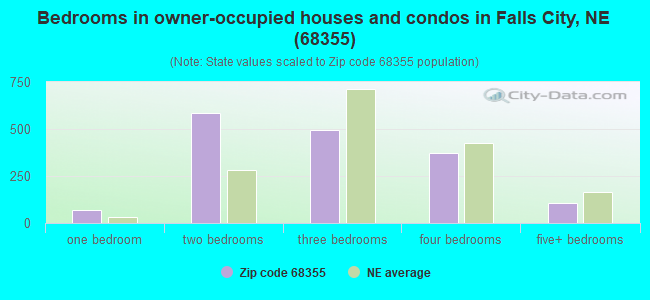 Bedrooms in owner-occupied houses and condos in Falls City, NE (68355) 