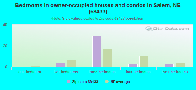 Bedrooms in owner-occupied houses and condos in Salem, NE (68433) 