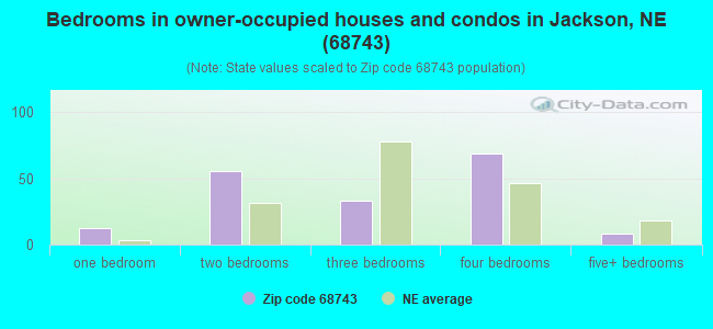 Bedrooms in owner-occupied houses and condos in Jackson, NE (68743) 