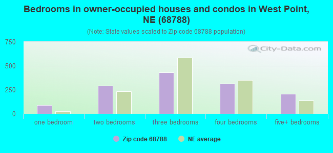 Bedrooms in owner-occupied houses and condos in West Point, NE (68788) 