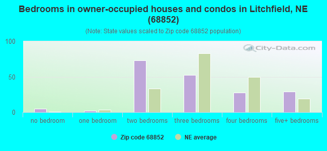 Bedrooms in owner-occupied houses and condos in Litchfield, NE (68852) 