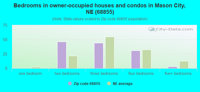 Bedrooms in owner-occupied houses and condos in Mason City, NE (68855) 