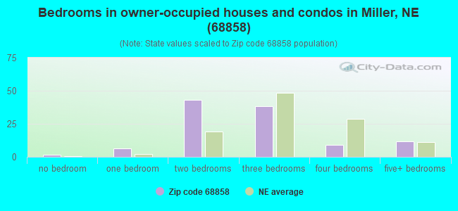 Bedrooms in owner-occupied houses and condos in Miller, NE (68858) 