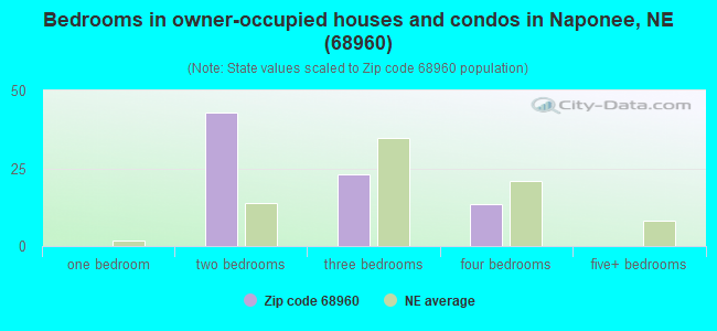 Bedrooms in owner-occupied houses and condos in Naponee, NE (68960) 