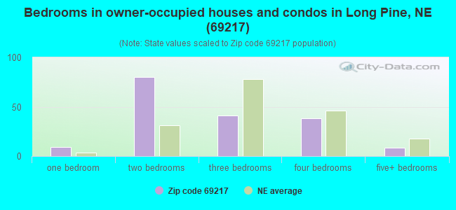 Bedrooms in owner-occupied houses and condos in Long Pine, NE (69217) 
