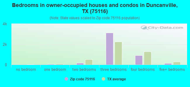 Bedrooms in owner-occupied houses and condos in Duncanville, TX (75116) 