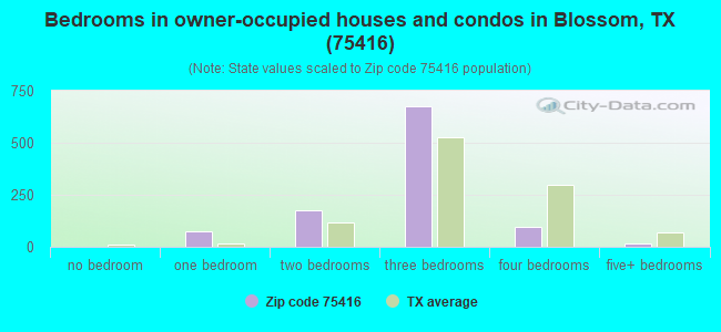 Bedrooms in owner-occupied houses and condos in Blossom, TX (75416) 