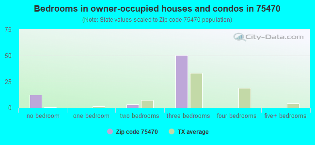 Bedrooms in owner-occupied houses and condos in 75470 