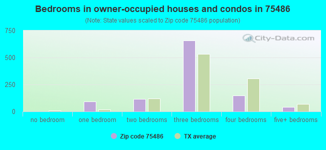 Bedrooms in owner-occupied houses and condos in 75486 