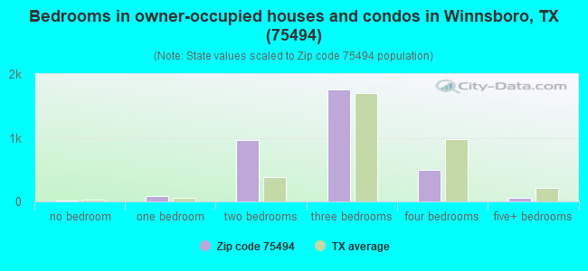 Bedrooms in owner-occupied houses and condos in Winnsboro, TX (75494) 