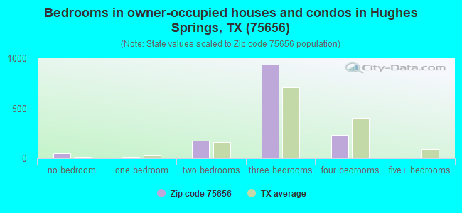 Bedrooms in owner-occupied houses and condos in Hughes Springs, TX (75656) 