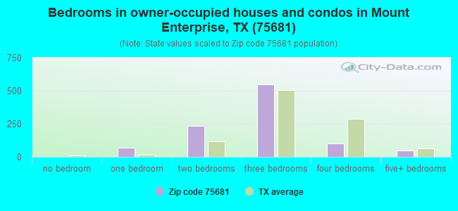 Bedrooms in owner-occupied houses and condos in Mount Enterprise, TX (75681) 