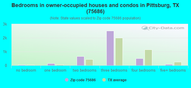 Bedrooms in owner-occupied houses and condos in Pittsburg, TX (75686) 