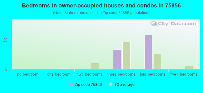 Bedrooms in owner-occupied houses and condos in 75856 