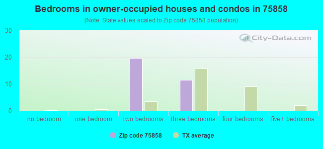 Bedrooms in owner-occupied houses and condos in 75858 