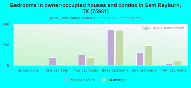 Bedrooms in owner-occupied houses and condos in Sam Rayburn, TX (75931) 