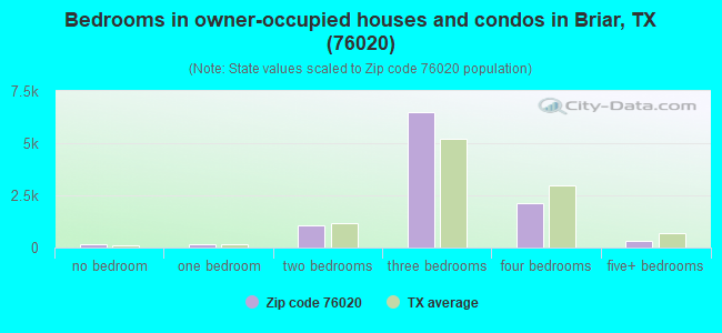 Bedrooms in owner-occupied houses and condos in Briar, TX (76020) 