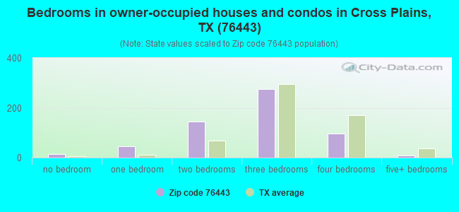 Bedrooms in owner-occupied houses and condos in Cross Plains, TX (76443) 
