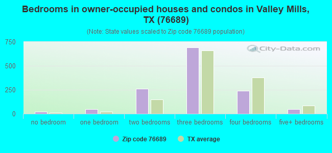 Bedrooms in owner-occupied houses and condos in Valley Mills, TX (76689) 